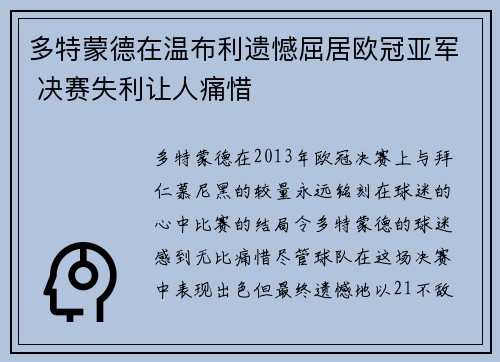 多特蒙德在温布利遗憾屈居欧冠亚军 决赛失利让人痛惜