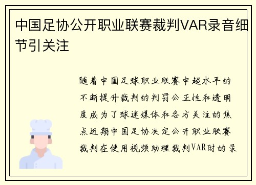 中国足协公开职业联赛裁判VAR录音细节引关注 中国足协公开职业联赛裁判VAR录音细节引关注